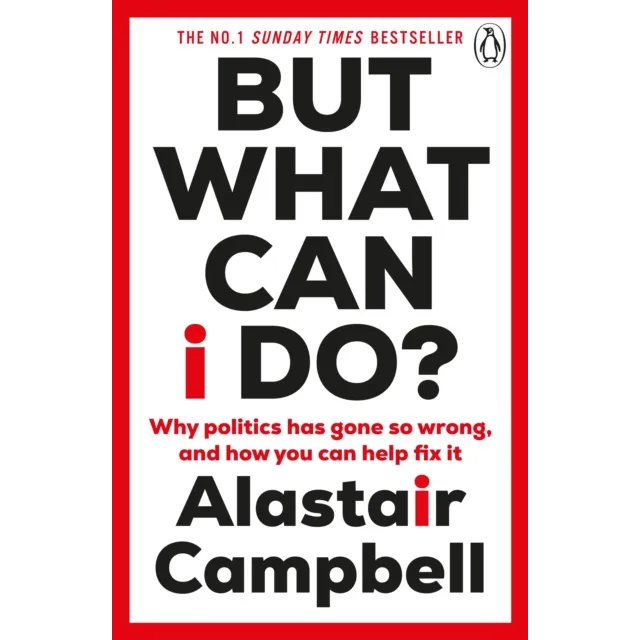 But What Can I Do? : Why Politics Has Gone So Wrong, and How You Can Help Fix It