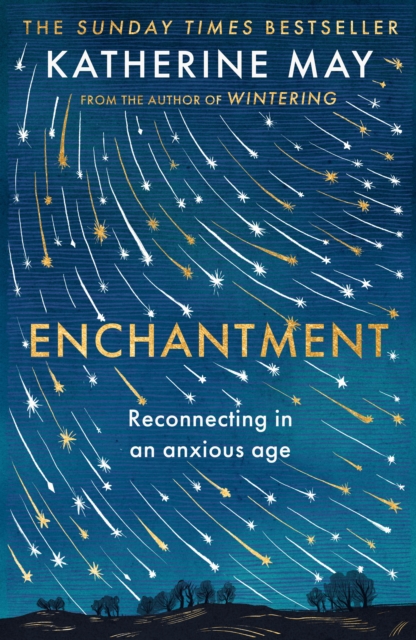Enchantment : Reconnecting in an Anxious Age