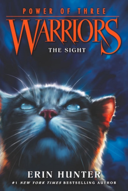 Warriors : Power of Three 1 : The Sight