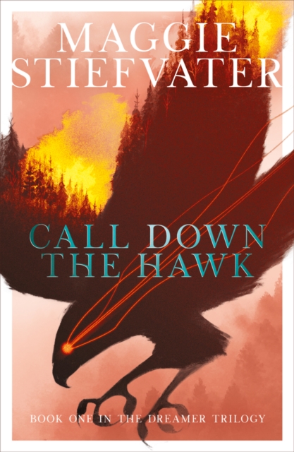 The Dreamer 1 : Call Down The Hawk