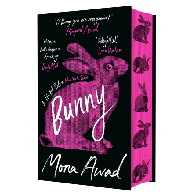 Bunny 1