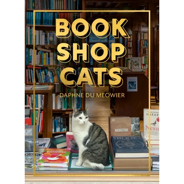 Bookshop Cats