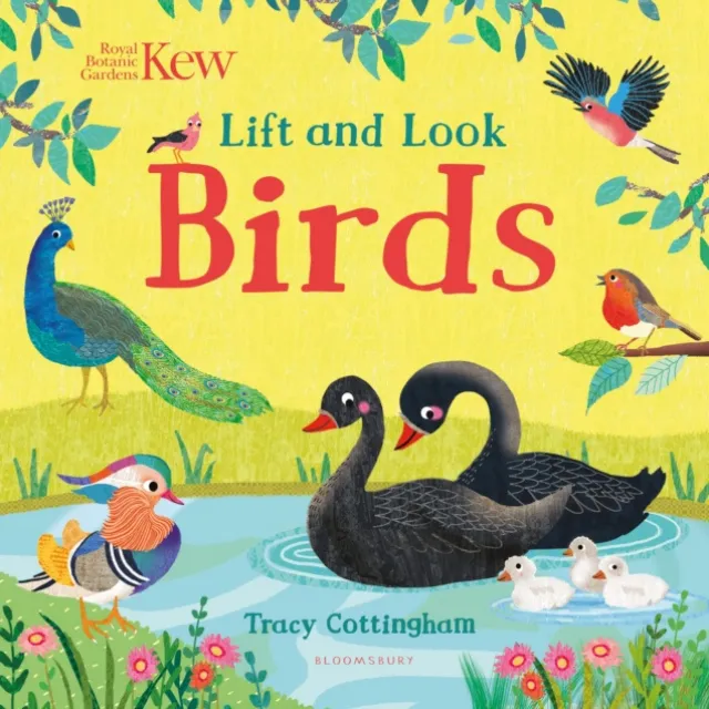 [9781526636843] Lift and Look : Birds