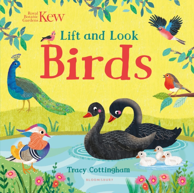 [9781526636843] Lift and Look : Birds