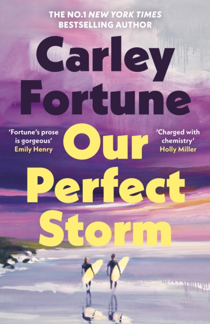 [9780241813799] Our Perfect Storm