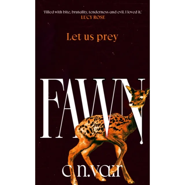 Fawn