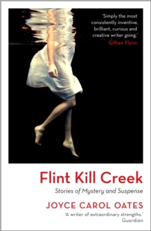 [9781035909957] Flint Kill Creek