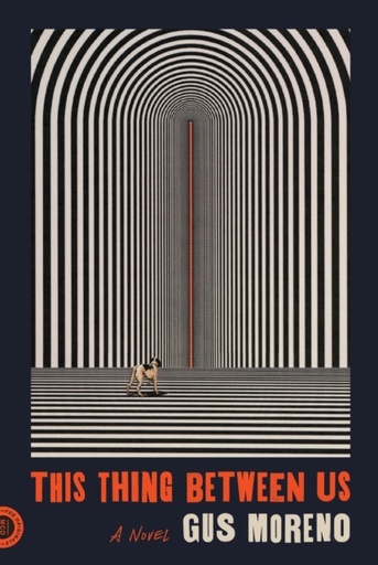 [9780374539238] This Thing Between Us